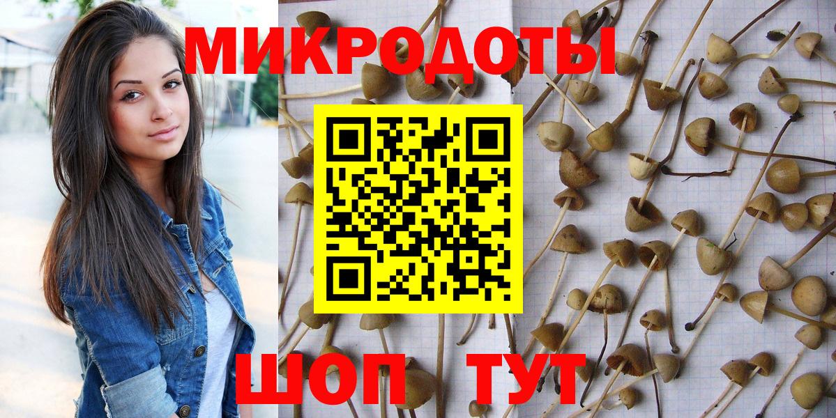 Галлюциногенные грибы Psilocybine cubensis  цена наркотик  Медногорск  Вход с VPN 